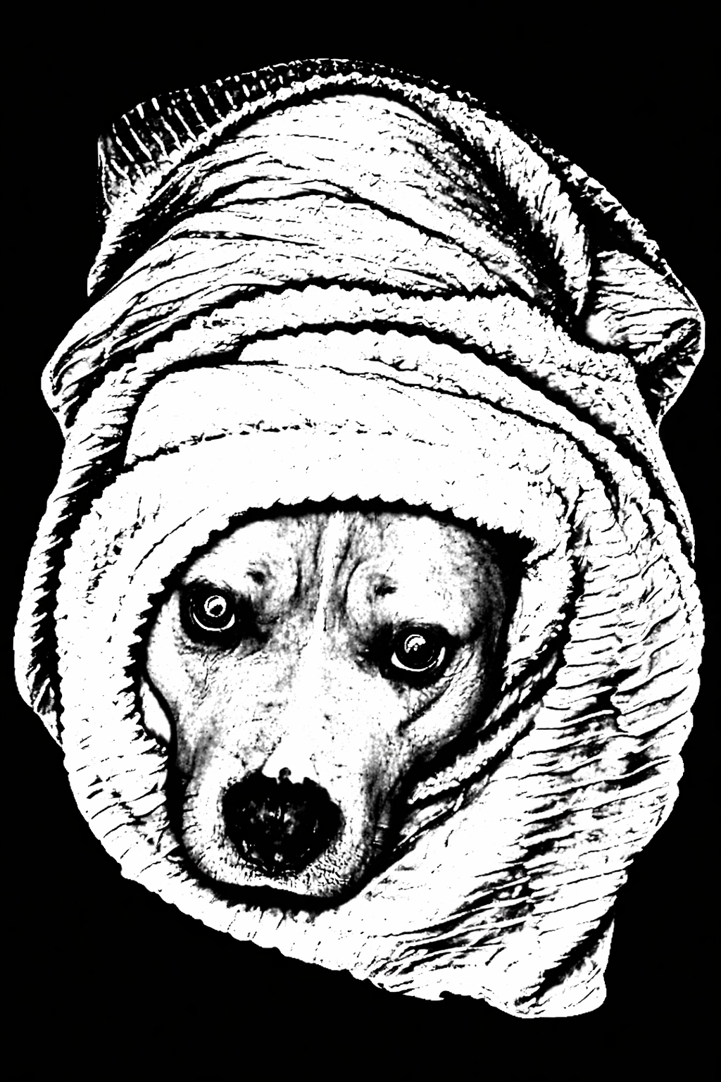 Monday fever artwork